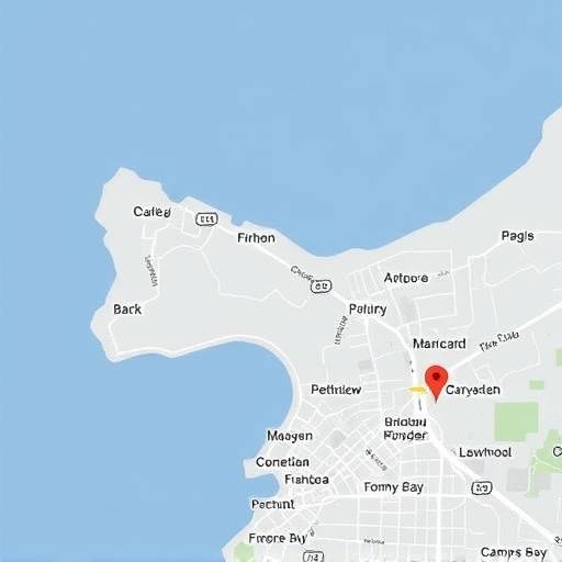 Map showing the location of the property in Camps Bay, Cape Town